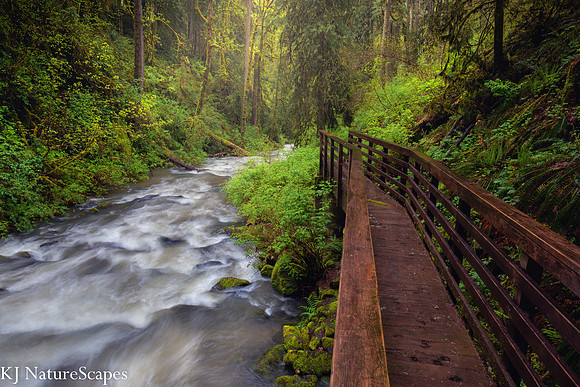 Walking along the McDowell Creek