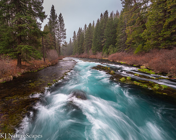 Metolius River - Landscape