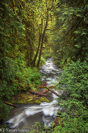 McDowell Creek Falls County Park