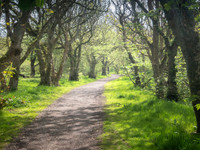 Hike to Slains Castle