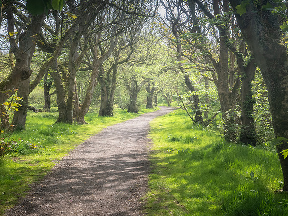Hike to Slains Castle
