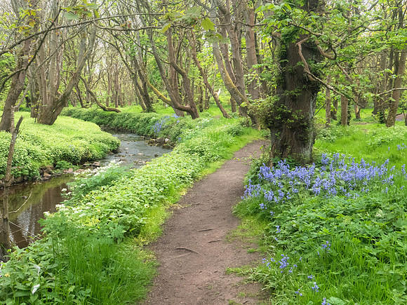 hike back from Slains Castle