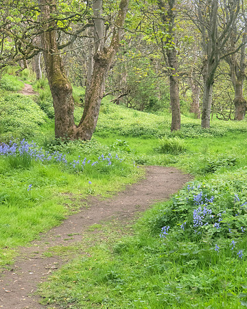 hike back from Slains Castle