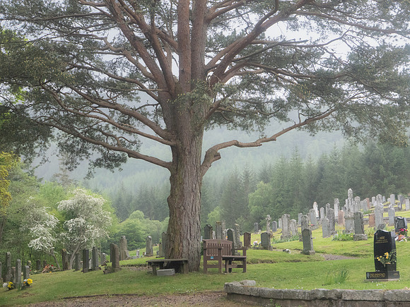 Fort William