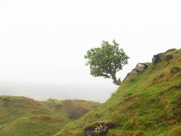 Fairy Glen - Isle of Skye
