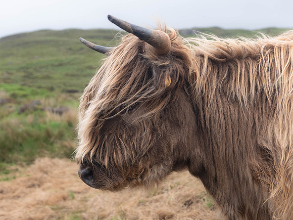 Isle of Skye
