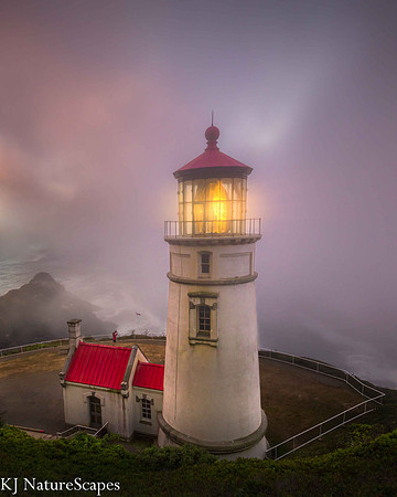 Pink Fog