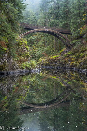 Where Elves Dwell  Portrait