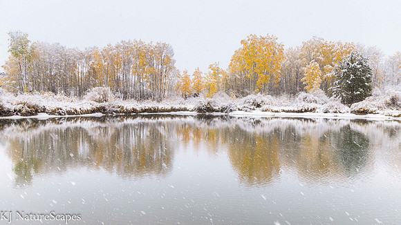 A tale of two seasons