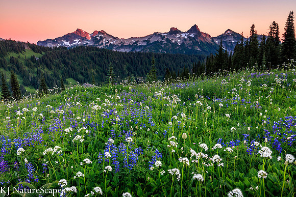 Tatoosh Range - Sunset