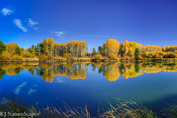 Fall Reflection on the Deschutes River