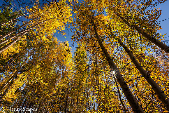 Aspens at Black Butte Ranch