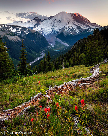Mt Rainier from Sunrise Side