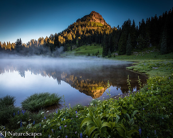 Reflection at Tipsoo Lake - Mt Rainier Natl Park