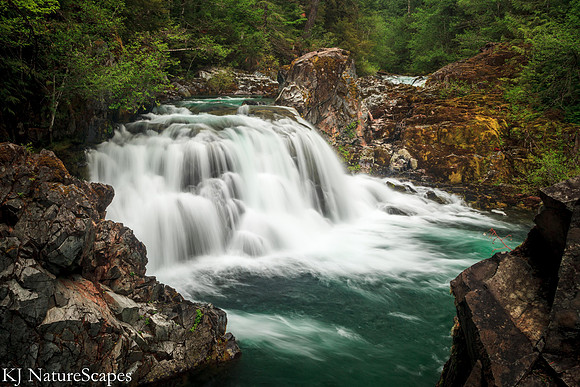 Sawmill Falls - Opal Creek Trail