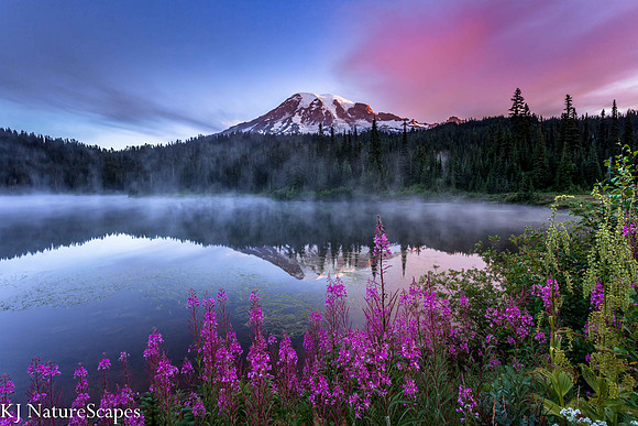 Mt Rainier Sunrise with Fireweed