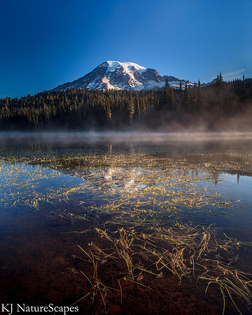 Mt Rainier