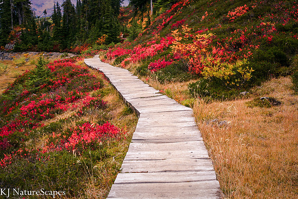 Boardwalk thru Heather Meadows at Mt Baker Wilderness