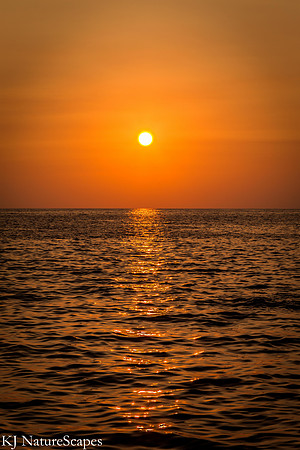An Ocean of Gold