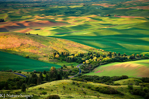 Palouse from Steptoe Butte at Sunset