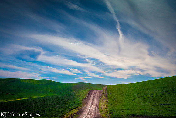 The Road - Palouse
