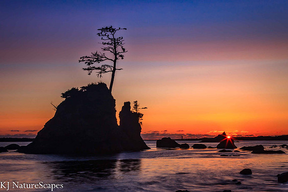 Sea Stack on Oregon Coast