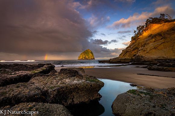 After the Storm at Cape Kiwanda