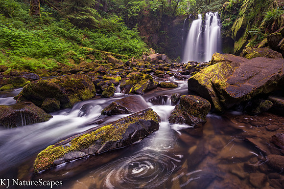 Spring at Majestic Falls