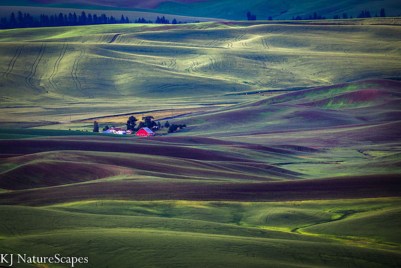 Red House from StepToe Butte