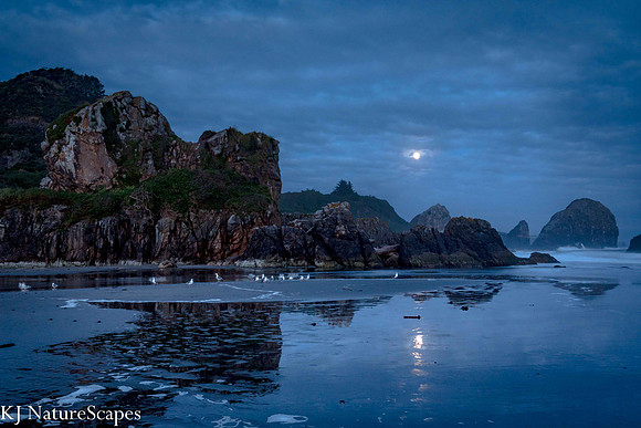 Full Moon at Harris Beach