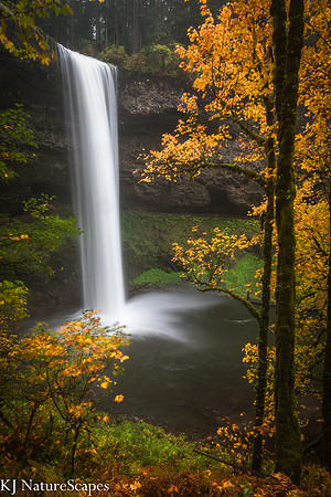 Autumn at South Falls, Silver Falls State Park