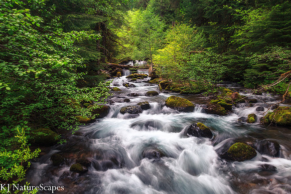 Lewis River, Washington
