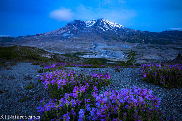 The blue hour at Mt St Helens