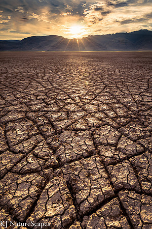 Craving Brownies - Alvord Desert