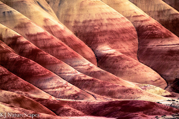 Close Up of the Painted Hills
