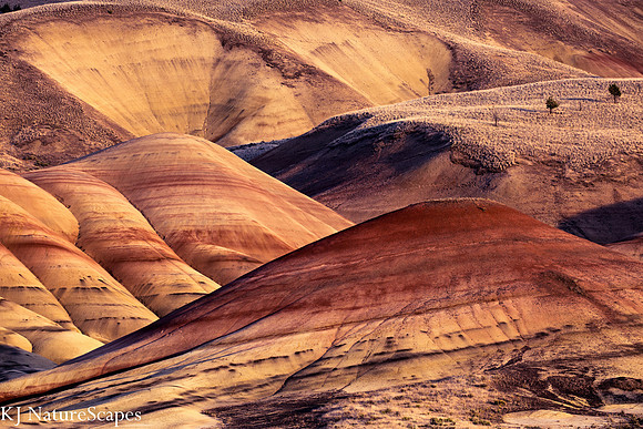 The many colors of the Painted Hills