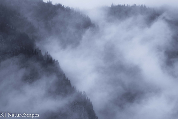 Fog rolls into Mt Rainier Natl Park