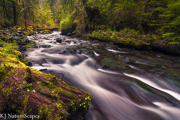 Go with the flow