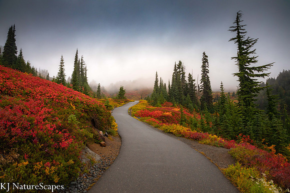 Foggy Paradise 2