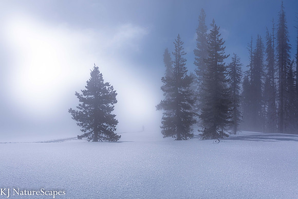 Sunlight Peeking thru the fog at White River, Oregon
