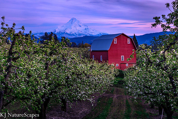 After sunset at Hood River