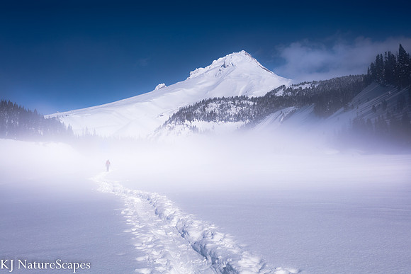 Pursing Mt Hood