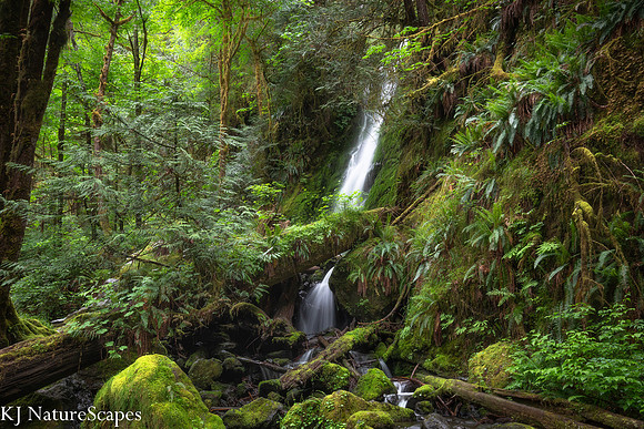 Merriman Falls