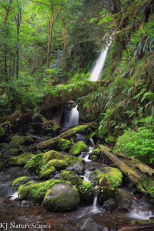 Merriman Falls - Portrait
