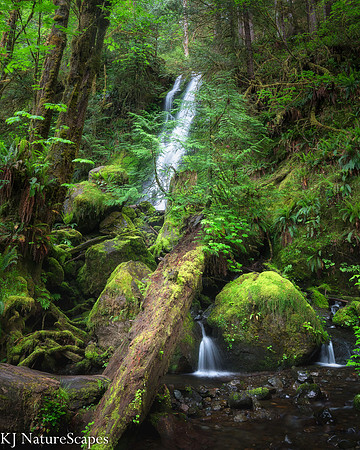 Looking thru the trees at Merriman Falls