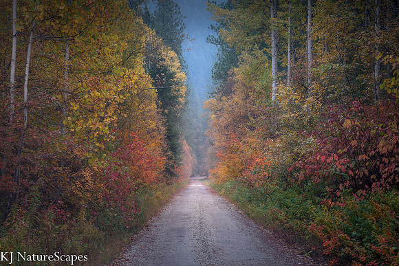 A whimsical walk