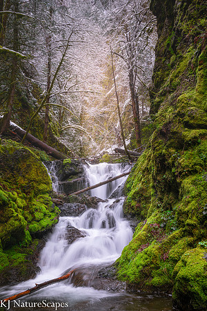 Winter at Emerald Falls - Portrait