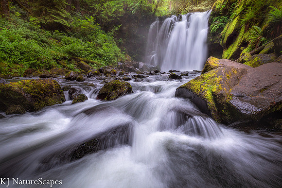 Majestic Flow -Landscape