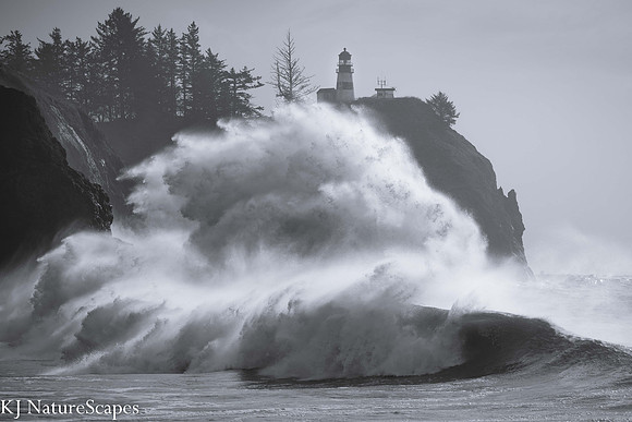 King Tide Wave - B&W