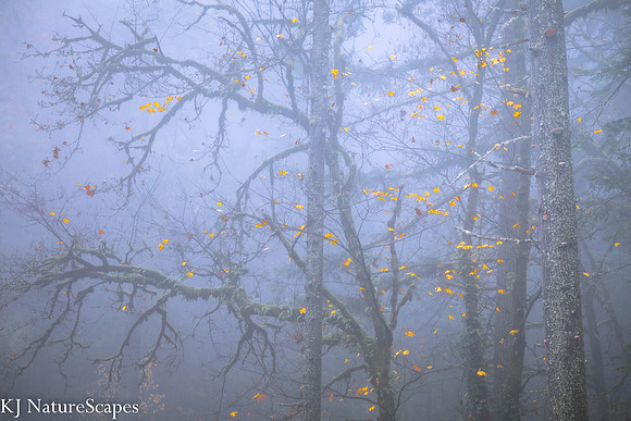 Hints of Gold